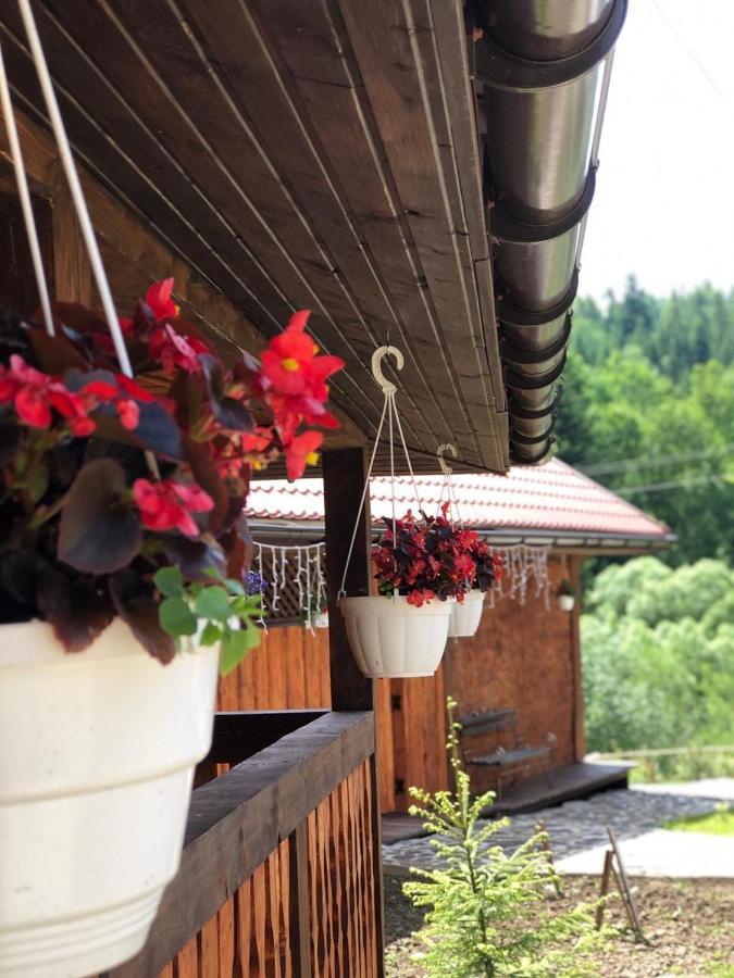 Apartment шервуд Myta