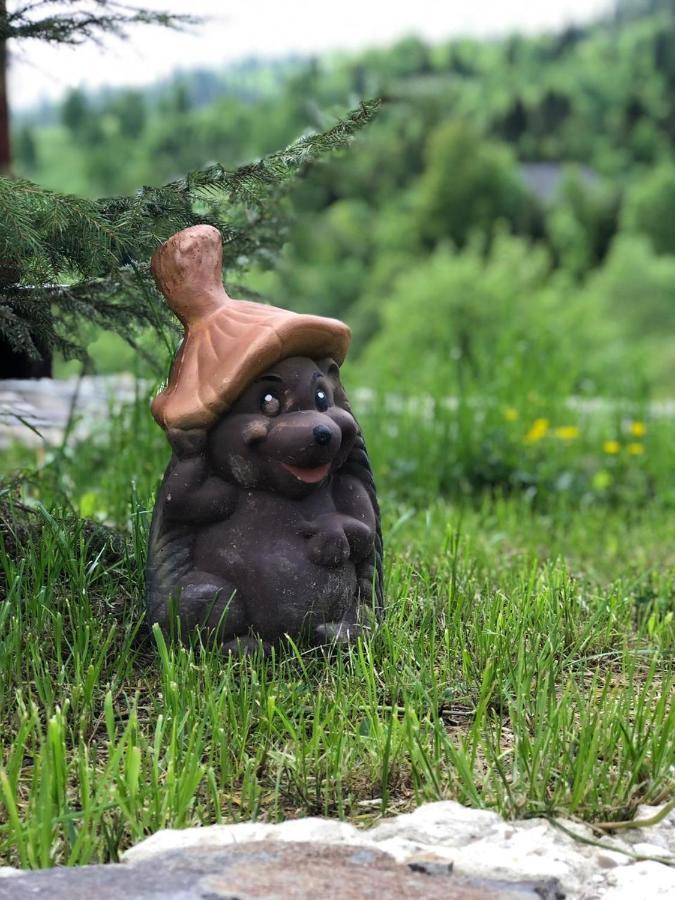шервуд *